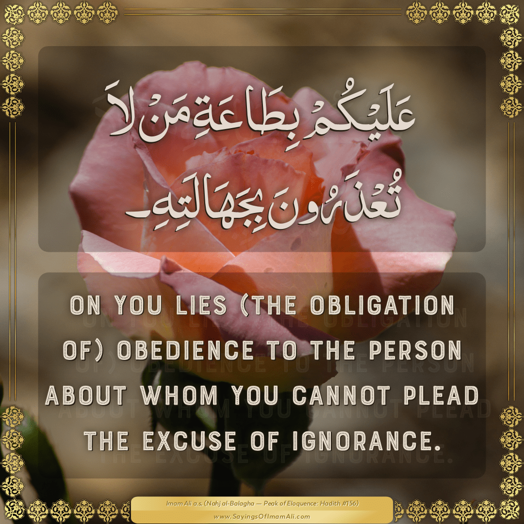 On you lies (the obligation of) obedience to the person about whom you...